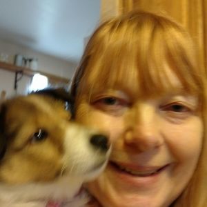 Meet your Posher, Dawn